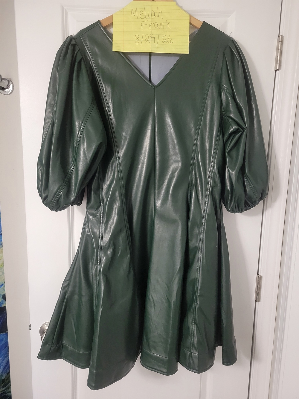 Ivy City Co Leah Dress in Green Vegan Leather